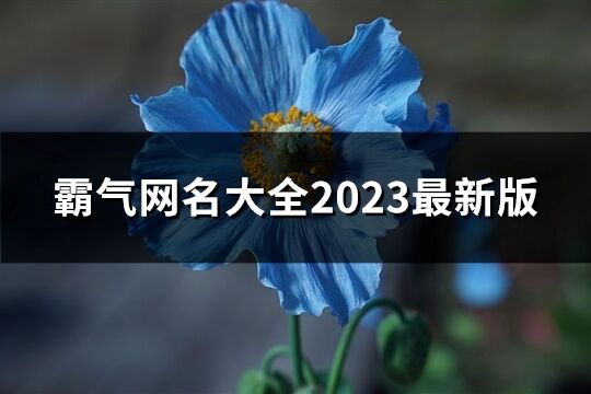 霸氣網(wǎng)名大全2023最新版(1155個(gè))