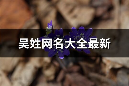 吳姓網名大全最新(精選103個)