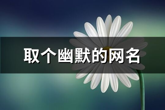 取個(gè)幽默的網(wǎng)名(精選200個(gè))
