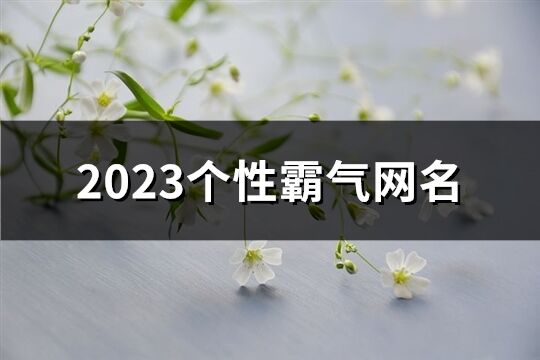 2023個性霸氣網名(共852個)
