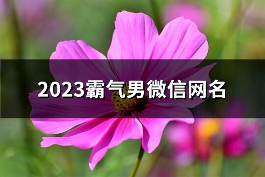 2023霸氣男微信網名(優選1085個)