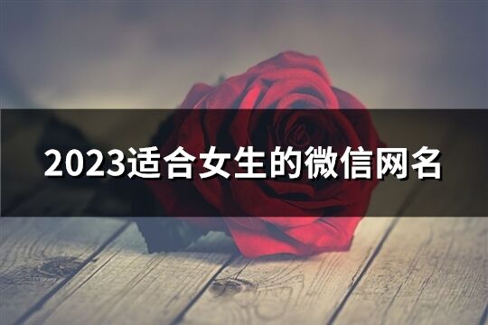 2023適合女生的微信網名(1360個)
