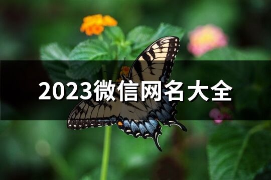 2023微信網名大全(1062個)