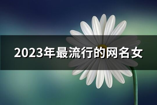 2023年最流行的網(wǎng)名女(精選1239個(gè))