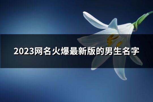 2023網名火爆最新版的男生名字(優選620個)