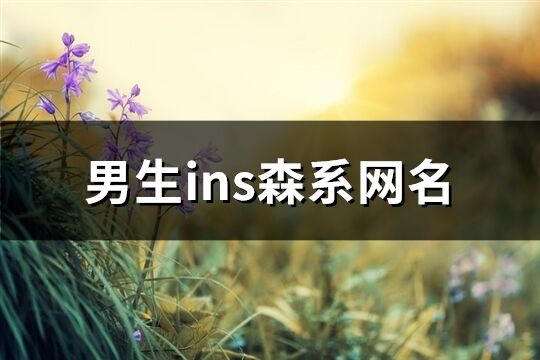 男生ins森系網(wǎng)名(優(yōu)選144個)