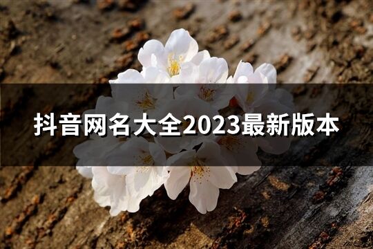 抖音網名大全2023最新版本(共707個)