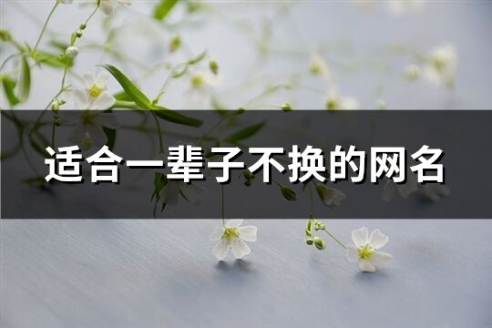 適合一輩子不換的網名(優選1058個)
