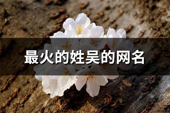 最火的姓吳的網(wǎng)名(共83個(gè))