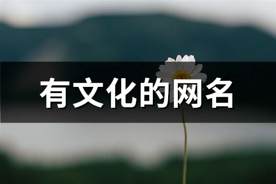有文化的網名(201個)
