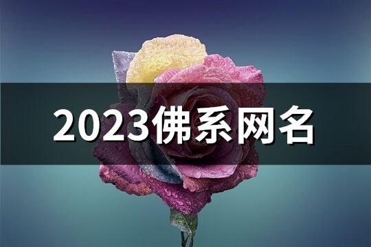 2023佛系網(wǎng)名(精選361個)
