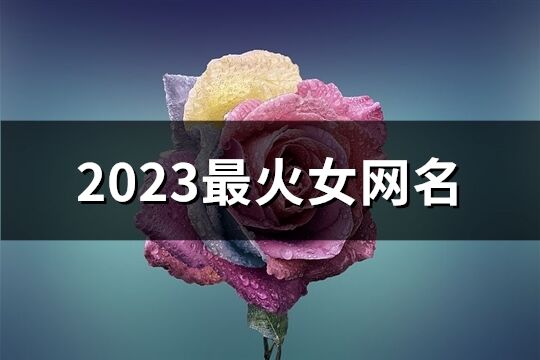 2023最火女網(wǎng)名(共1758個(gè))