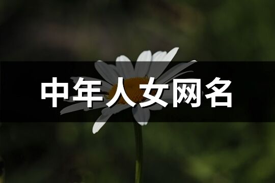 中年人女網(wǎng)名(共461個(gè))