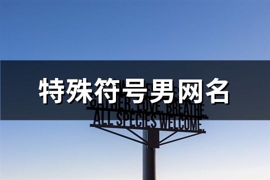 特殊符號男網名(111個)