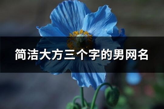 簡潔大方三個字的男網名(413個)