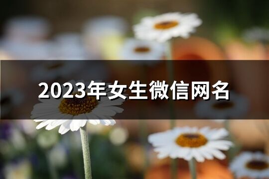 2023年女生微信網(wǎng)名(優(yōu)選1500個)