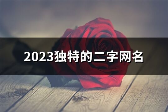 2023獨特的二字網名(2164個)