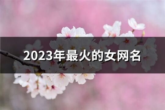 2023年最火的女網(wǎng)名(精選1387個)