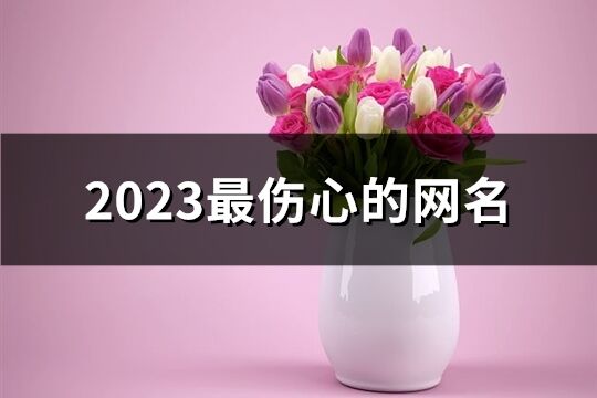 2023最傷心的網名(共360個)