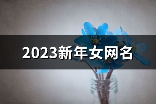 2023新年女網名(1372個)