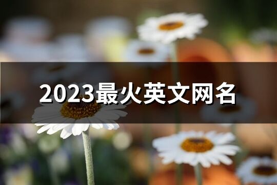 2023最火英文網名(210個)