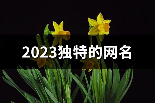 2023獨特的網名(優選954個)