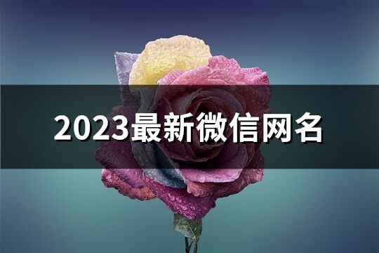 2023最新微信網名(共1336個)