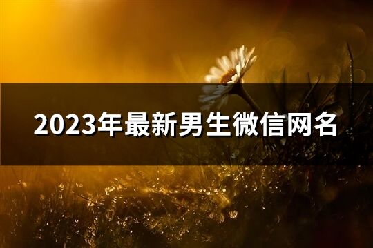 2023年最新男生微信網名(精選1326個)