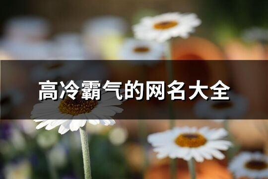 高冷霸氣的網名大全(精選191個)