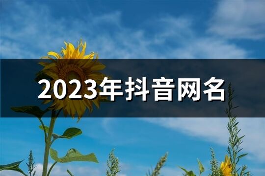 2023年抖音網名(833個)