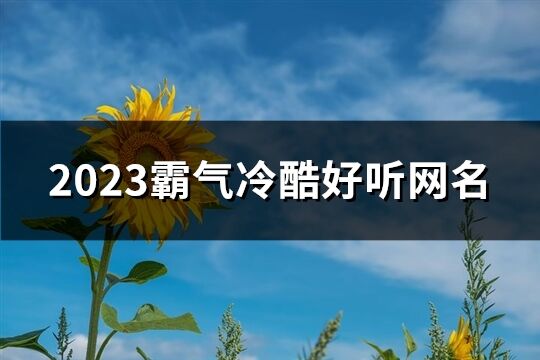 2023霸氣冷酷好聽網(wǎng)名(438個(gè))