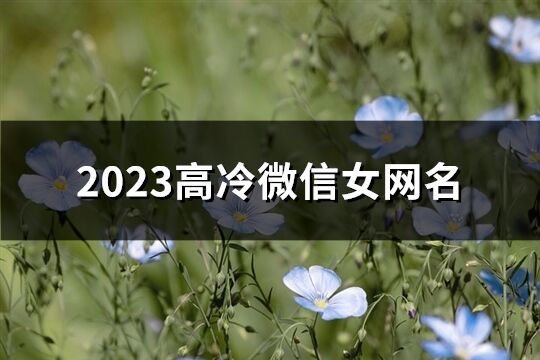 2023高冷微信女網名(優選707個)