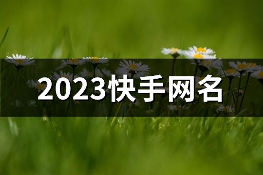 2023快手網(wǎng)名(共557個(gè))