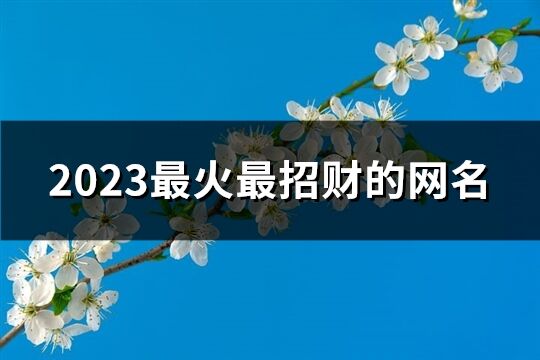 2023最火最招財的網名(優選1231個)