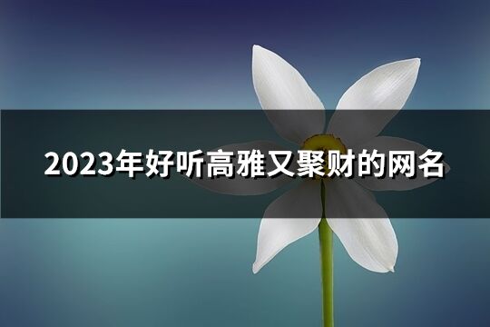 2023年好聽高雅又聚財(cái)?shù)木W(wǎng)名(優(yōu)選435個(gè))