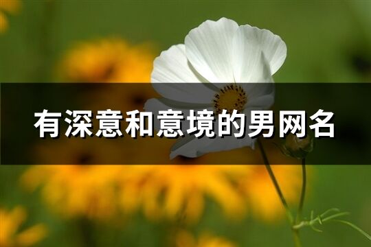 有深意和意境的男網名(308個)