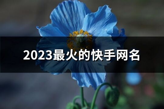 2023最火的快手網名(精選341個)