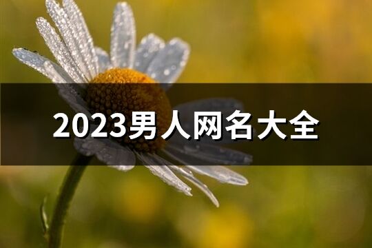 2023男人網名大全(優選1278個)
