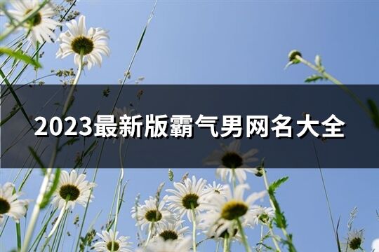 2023最新版霸氣男網名大全(優選1611個)