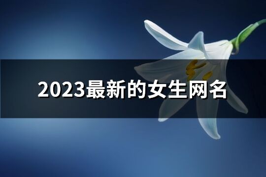 2023最新的女生網名(925個)