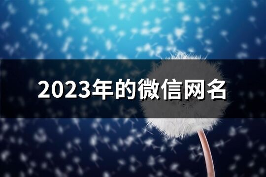 2023年的微信網(wǎng)名(精選936個)