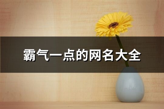 霸氣一點的網名大全(共555個)