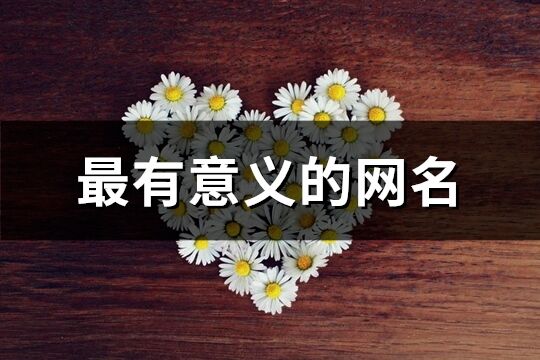 最有意義的網(wǎng)名(共544個(gè))