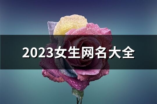 2023女生網(wǎng)名大全(共2155個)