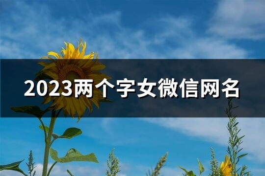 2023兩個字女微信網(wǎng)名(精選562個)