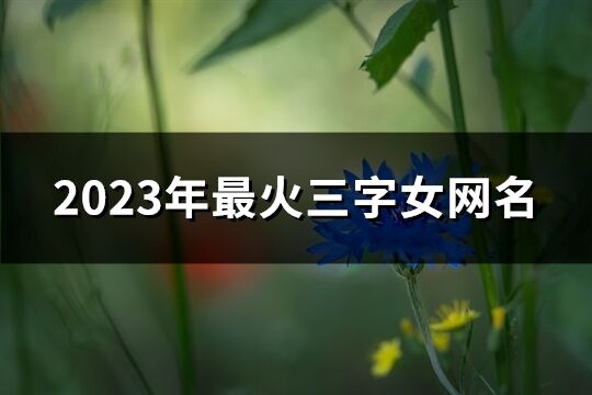 2023年最火三字女網名(共694個)