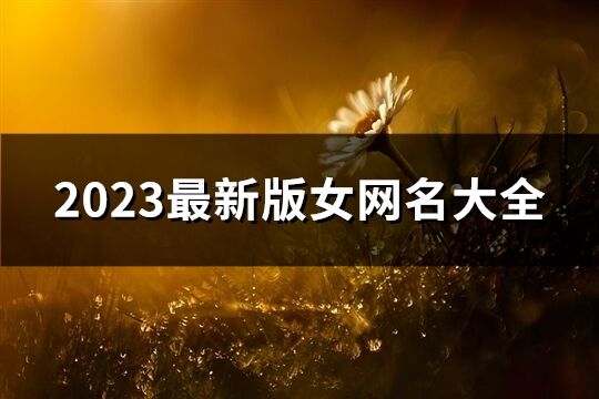 2023最新版女網名大全(共920個)