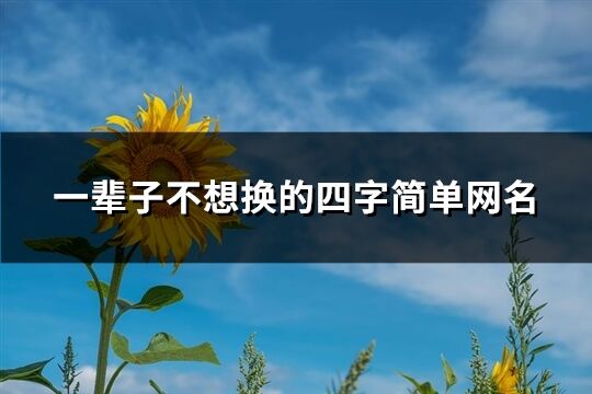 一輩子不想換的四字簡單網名(優選370個)