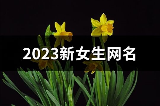 2023新女生網名(優選890個)