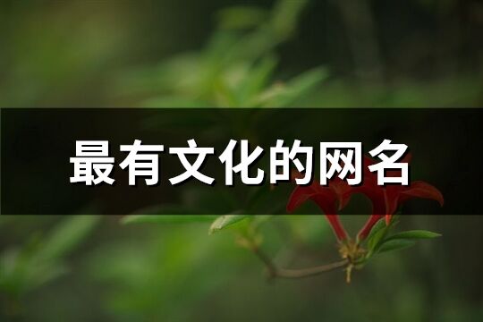 最有文化的網名(精選215個)